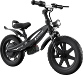 isinwheel SK14 2-in-1 Electric Bike