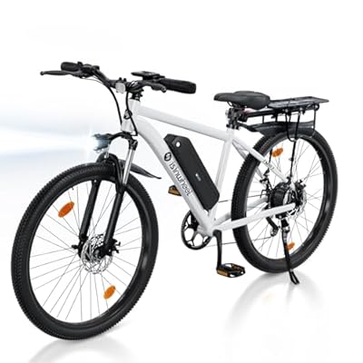 isinwheel M10 500W Electric Commuter Bike