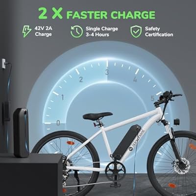 isinwheel M10 500W Electric Commuter Bike