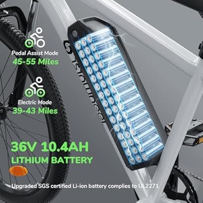 isinwheel M10 500W Electric Commuter Bike