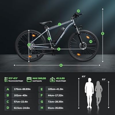 isinwheel M10 500W Electric Commuter Bike