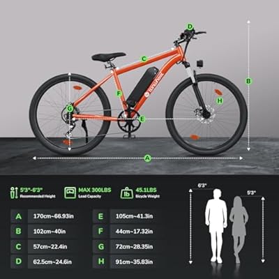 isinwheel M10 500W Electric Commuter Bike