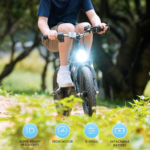 isinwheel SK14 2-in-1 Electric Bike