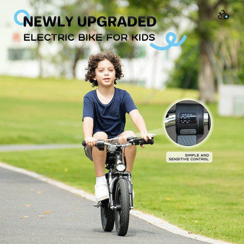 isinwheel SK14 2-in-1 Electric Bike