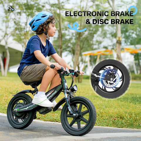 isinwheel SK14 2-in-1 Electric Bike