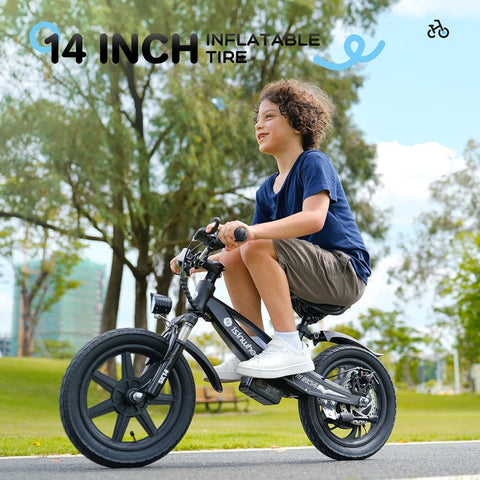isinwheel SK14 2-in-1 Electric Bike