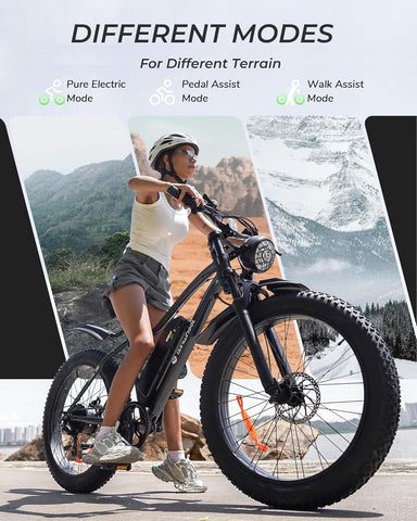isinwheel M10 Plus Electric Bike for Adults