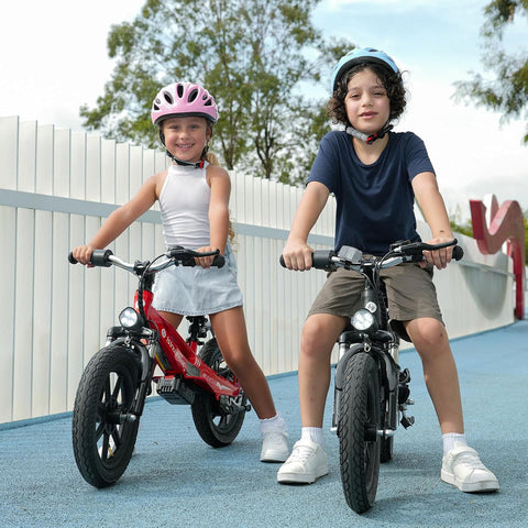 isinwheel SK14 2-in-1 Electric Bike