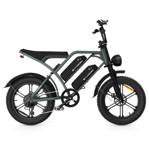CycHunter Moped-Style Electric Bike