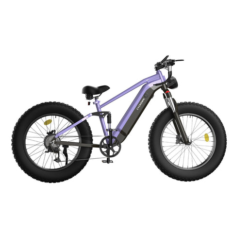 CycUltra   All-terrain   Electric   Bike